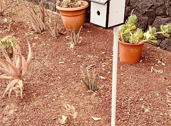 Artsy Casa Timanfaya,