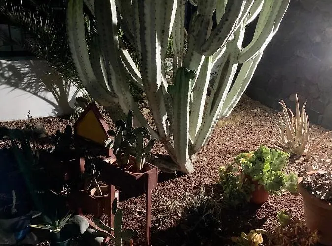 Artsy Casa Timanfaya, Playa Blanca